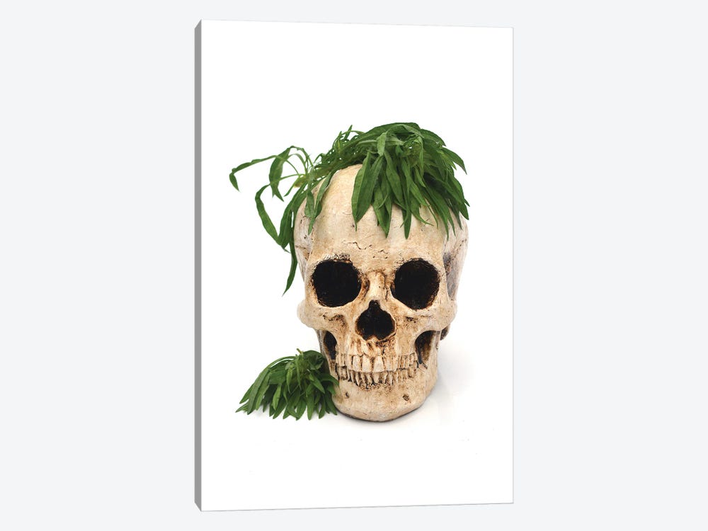Skull & Weed by Jonathan Brooks 1-piece Canvas Print