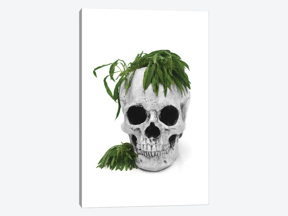 Skull & Weed Black & White by Jonathan Brooks 1-piece Canvas Artwork