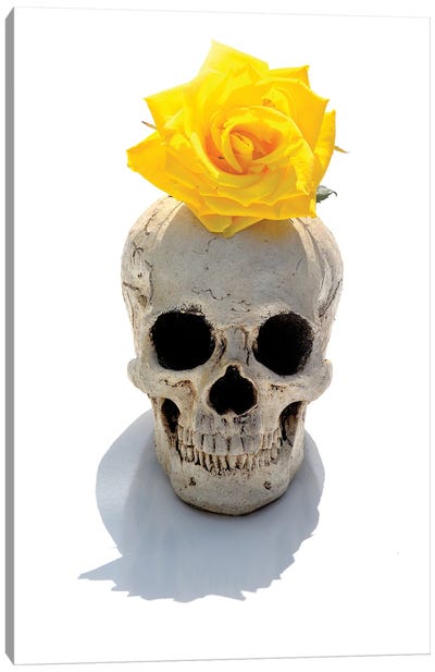 Skull & Yellow Rose Canvas Art Print - Pantone 2021 Ultimate Gray & Illuminating
