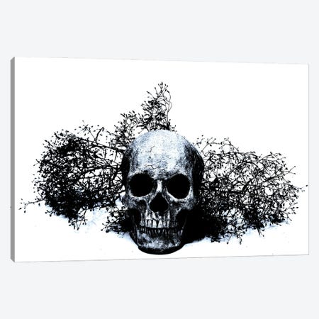 Black & Blue Skull II Canvas Print #JTN9} by Jonathan Brooks Canvas Art Print