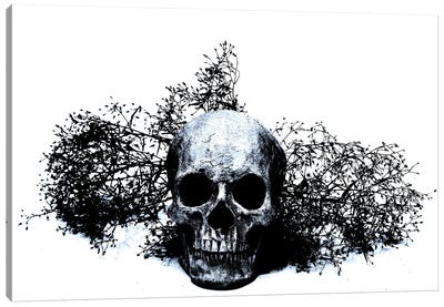 Black & Blue Skull II Canvas Art Print - Jonathan Brooks