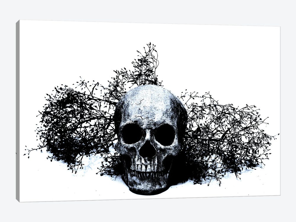 Black & Blue Skull II by Jonathan Brooks 1-piece Art Print