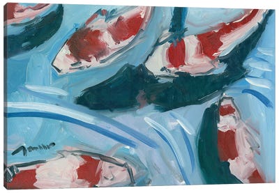 Koi Pond Canvas Art Print - Jose Trujillo