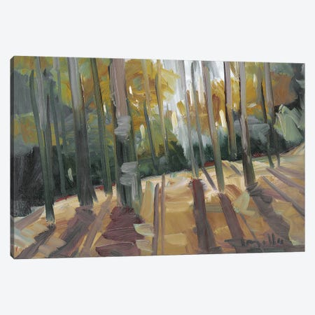 Backlit Woods   Canvas Print #JTR31} by Jose Trujillo Canvas Print
