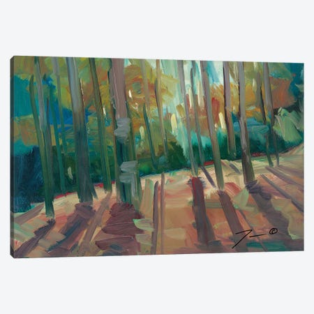 Backlit Woods Canvas Print #JTR4} by Jose Trujillo Canvas Art Print