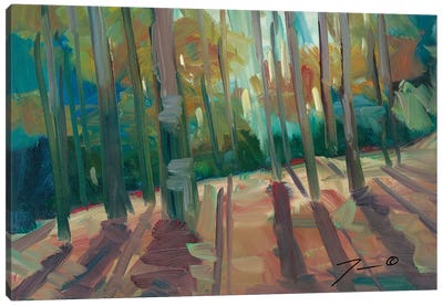 Backlit Woods Canvas Art Print - Jose Trujillo