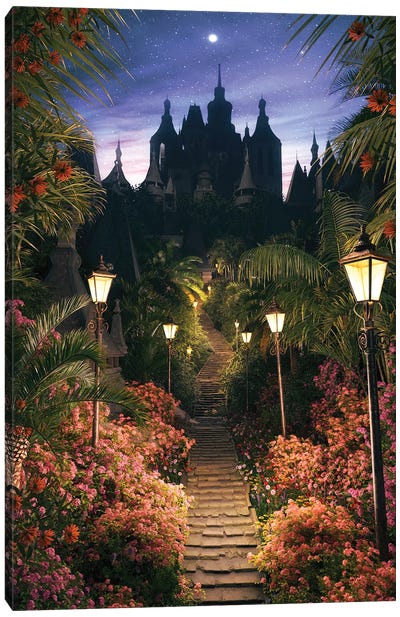 Stairway To The Castle Canvas Art Print - James Tralie