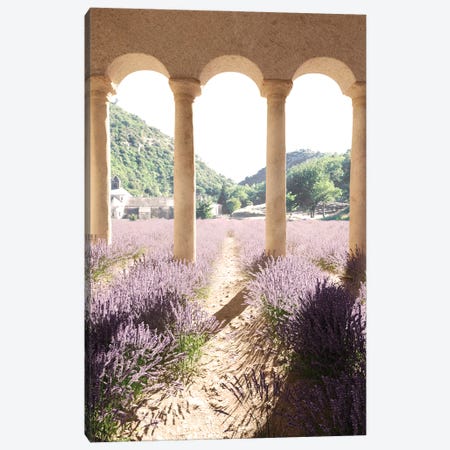 Lavender Dreamland Canvas Print #JTZ51} by James Tralie Art Print