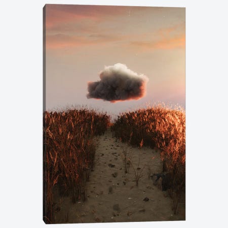Cloud Field Canvas Print #JTZ6} by James Tralie Canvas Print