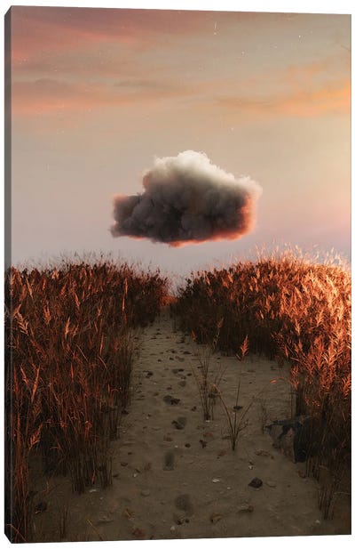 Cloud Field Canvas Art Print - James Tralie