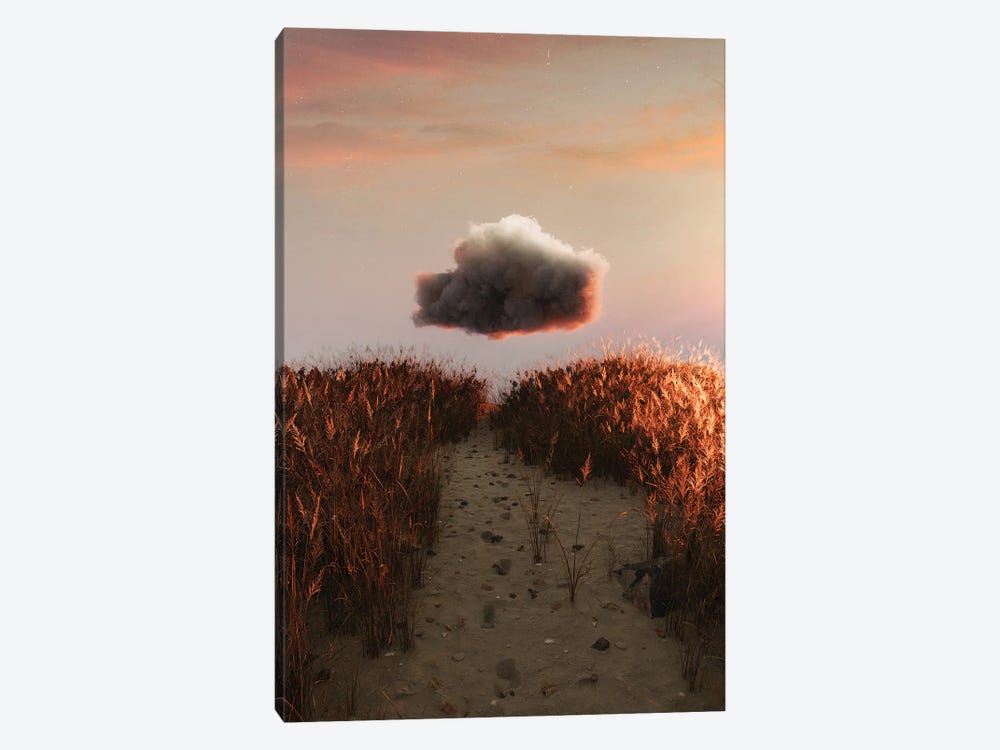 Cloud Field by James Tralie 1-piece Canvas Artwork