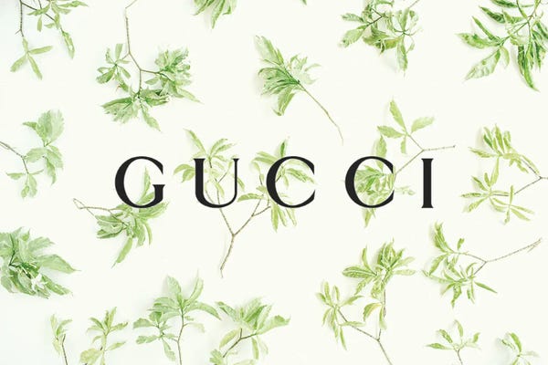 Julie Schreiber: Gucci Botanical by Julie Schreiber