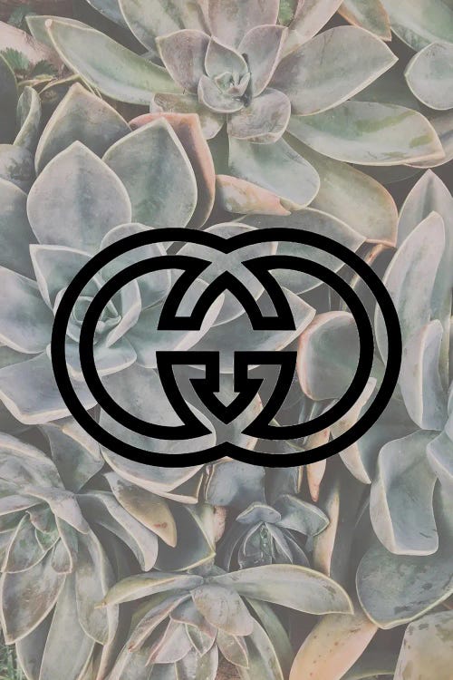 Gucci Succulents