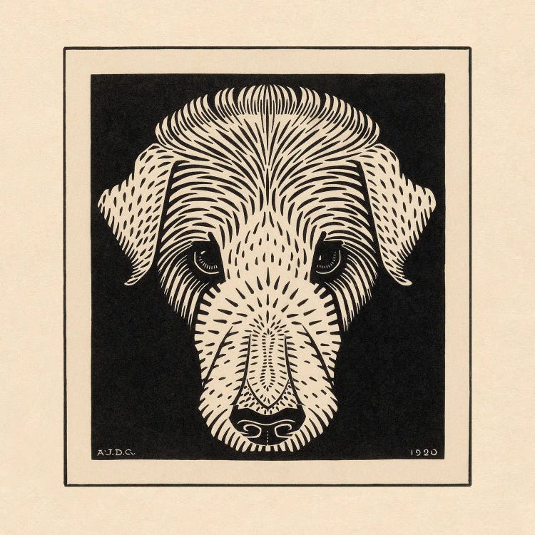 Dog’s Head, 1920