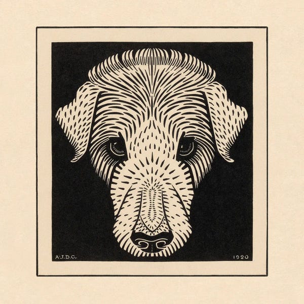 Dog’s Head, 1920