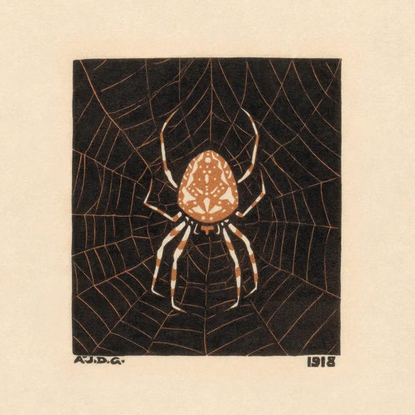 Spiders: Spider in a Web, 1918 by Julie De Graag