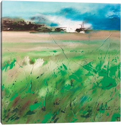 Fields of Joy IV Canvas Art Print - Julie Ann Scott