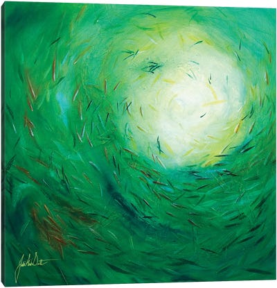 Seas of Tranquility III Canvas Art Print - Julie Ann Scott