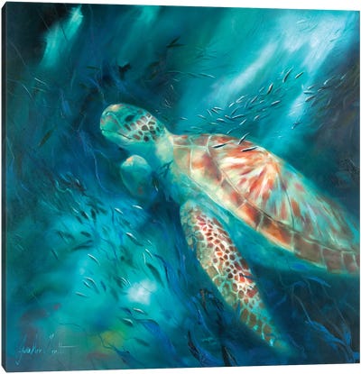 Seas of Tranquility VI Canvas Art Print - Turtle Art