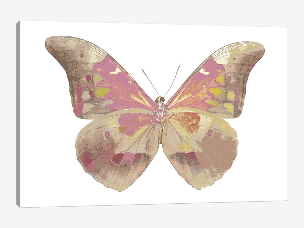 Butterfly In Grey IV by Julia Bosco 1-piece Canvas Wall Art