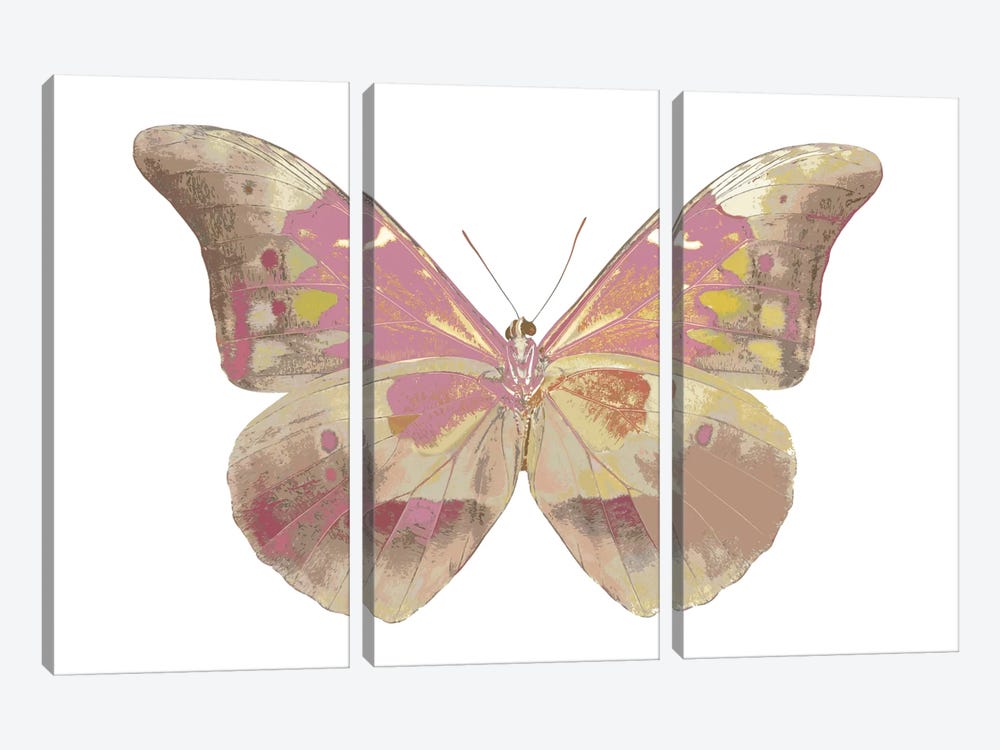 Butterfly In Grey IV by Julia Bosco 3-piece Canvas Artwork