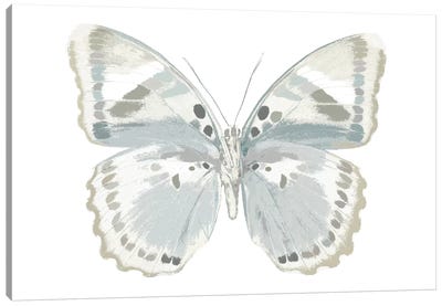 Butterfly In Mandarin Canvas Art Print - Julia Bosco