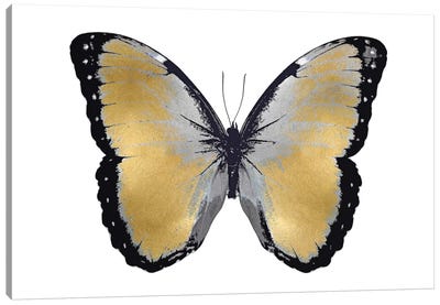 Butterfly In Metallic I Canvas Art Print - Julia Bosco