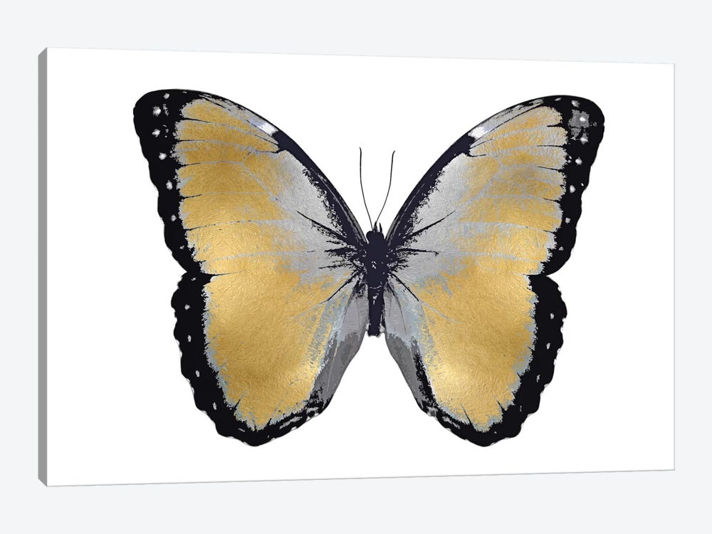 Black Butterflies Butterfly Metallic Gold Black Canvas Wall Art Picture Hanging 