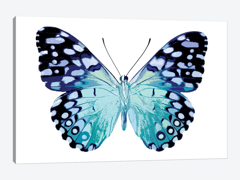 Butterfly In Metallic II by Julia Bosco 1-piece Canvas Print