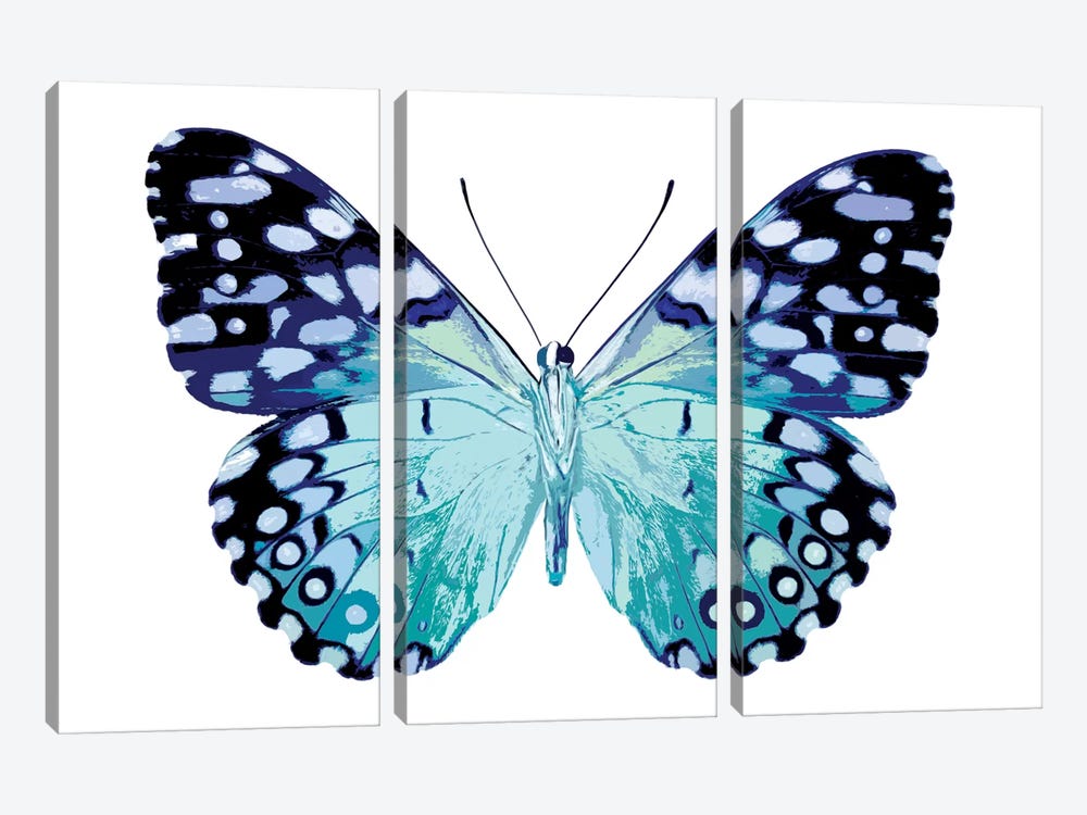 Butterfly In Metallic II by Julia Bosco 3-piece Canvas Print