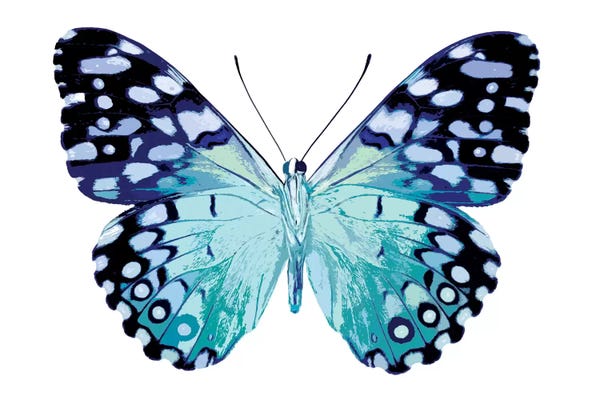 Butterflies: Butterfly In Metallic II by Julia Bosco