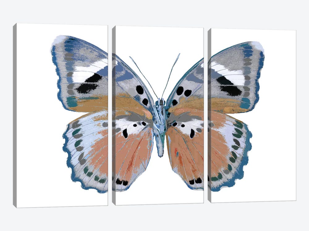 Butterfly In Pink II by Julia Bosco 3-piece Canvas Print