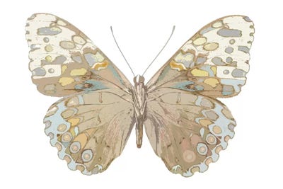 Butterfly In Taupe And Blue by Julia Bosco art print