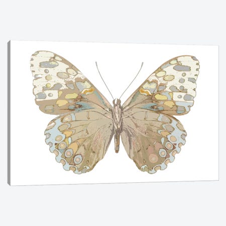 Butterfly In Taupe And Blue Canvas Print #JUL16} by Julia Bosco Art Print