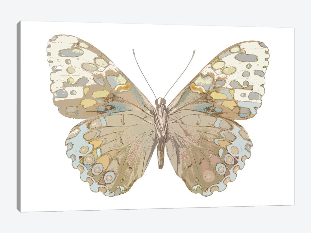 Butterfly In Taupe And Blue by Julia Bosco 1-piece Canvas Wall Art