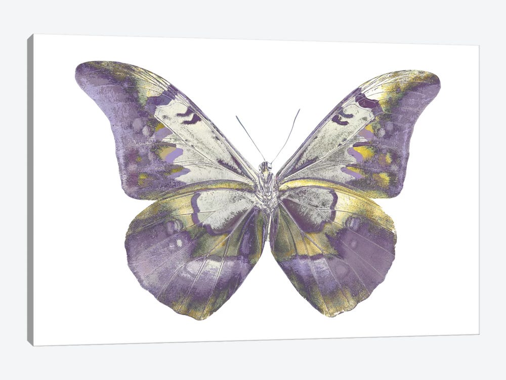 Butterfly In Teal And Blue by Julia Bosco 1-piece Canvas Art Print