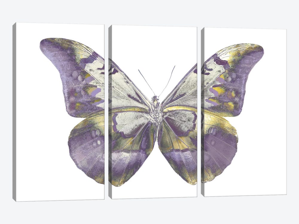 Butterfly In Teal And Blue by Julia Bosco 3-piece Canvas Art Print
