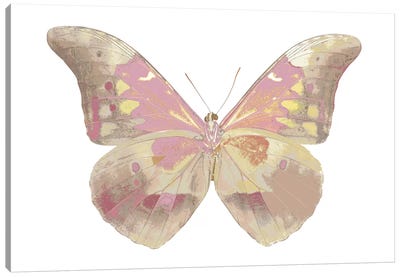 Butterfly In Teal I Canvas Art Print - Julia Bosco