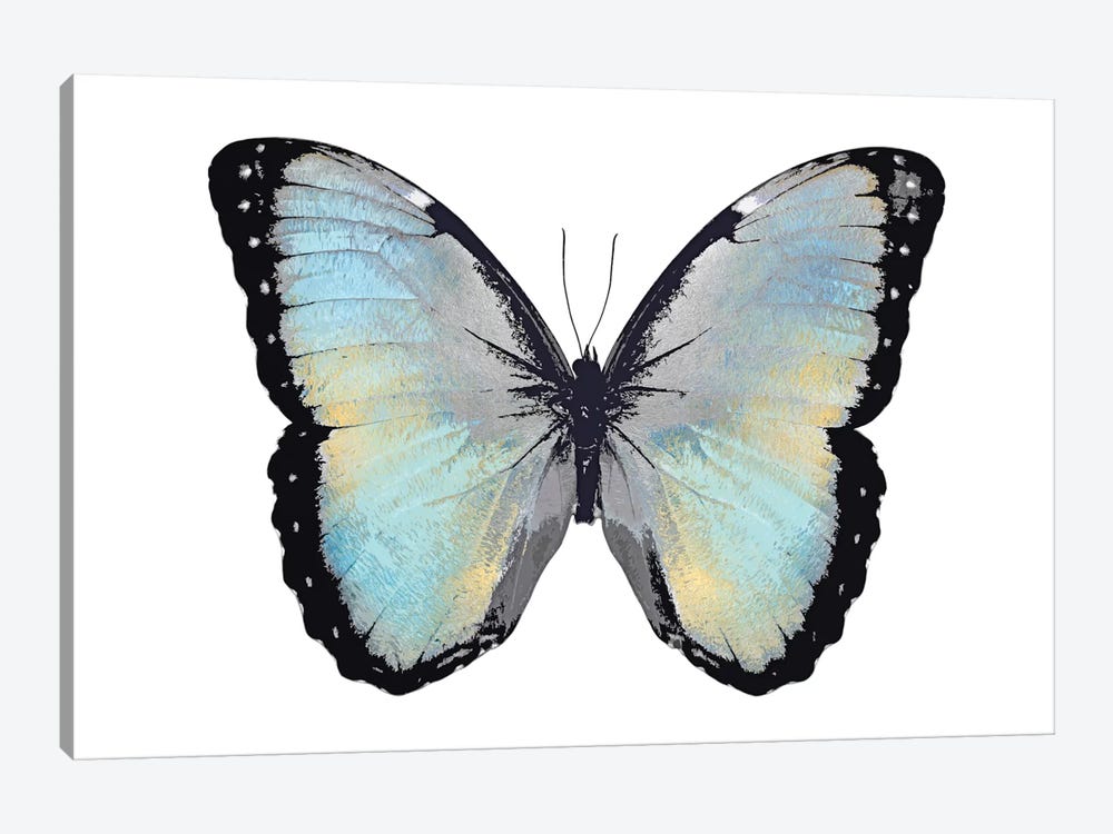 Blue Hue Butterfly by Julia Bosco 1-piece Canvas Wall Art