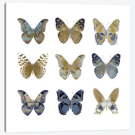 Butterfly Study I Canvas Print #JUL20} by Julia Bosco Canvas Art Print