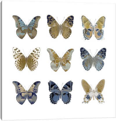 Butterfly Study I Canvas Art Print - Julia Bosco
