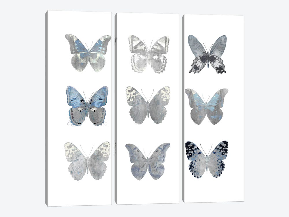 Butterfly Study II by Julia Bosco 3-piece Canvas Art