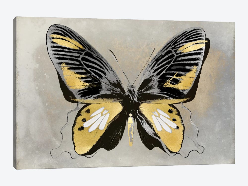Butterfly Study III by Julia Bosco 1-piece Canvas Art Print