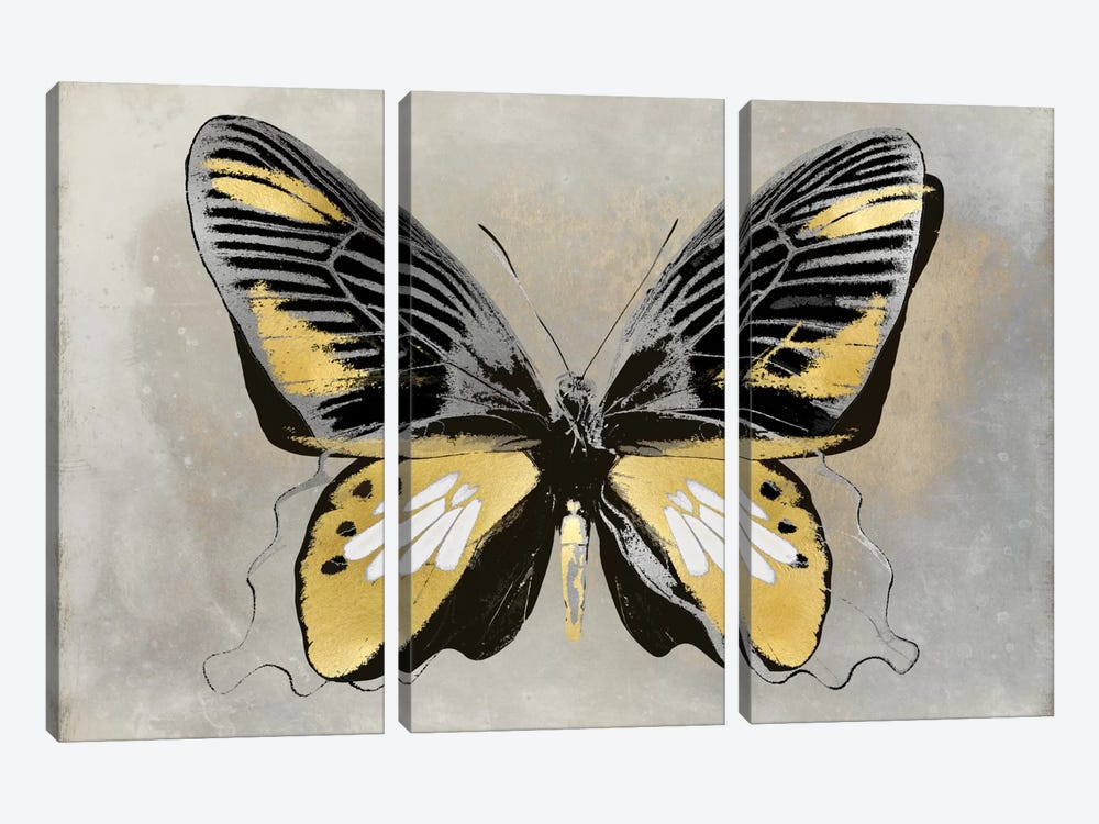 Butterfly Study III by Julia Bosco 3-piece Art Print