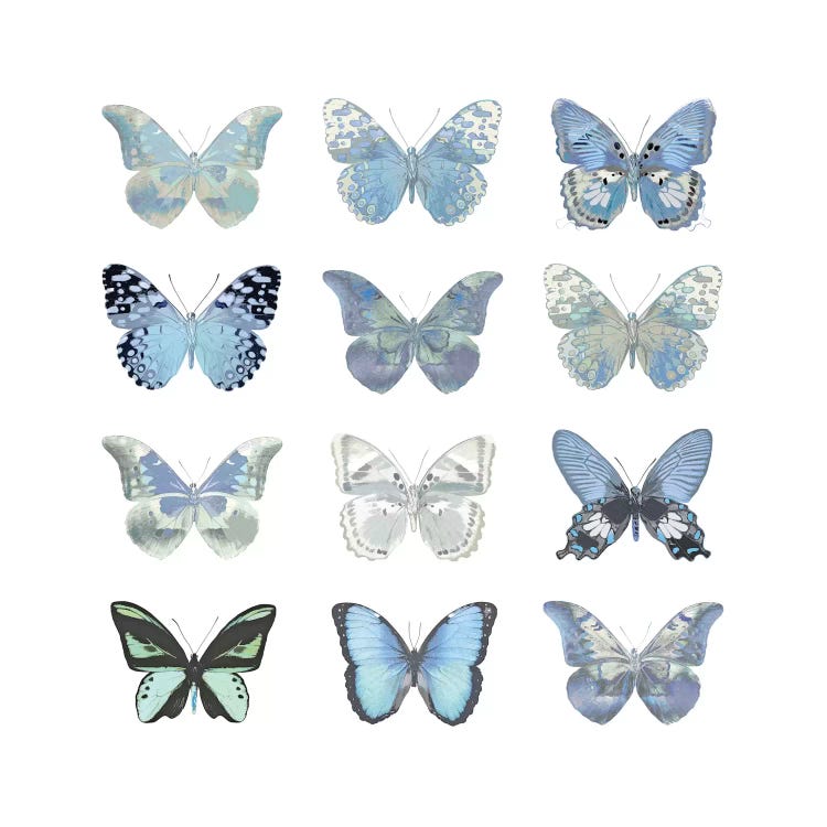 Butterfly Study In Blue I