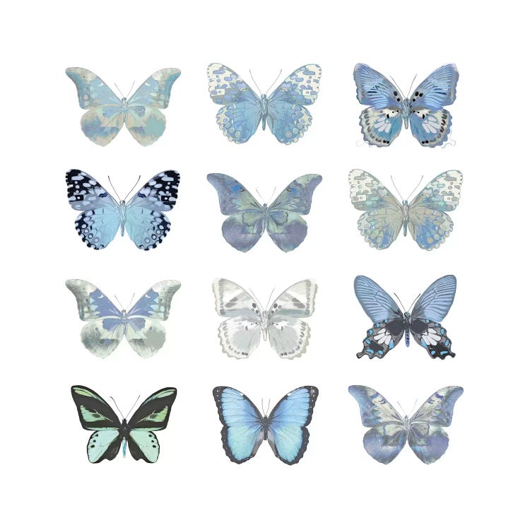 Butterfly Study In Blue I by Julia Bosco wall art