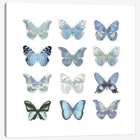 Butterfly Study In Blue I Canvas Print #JUL23} by Julia Bosco Canvas Print