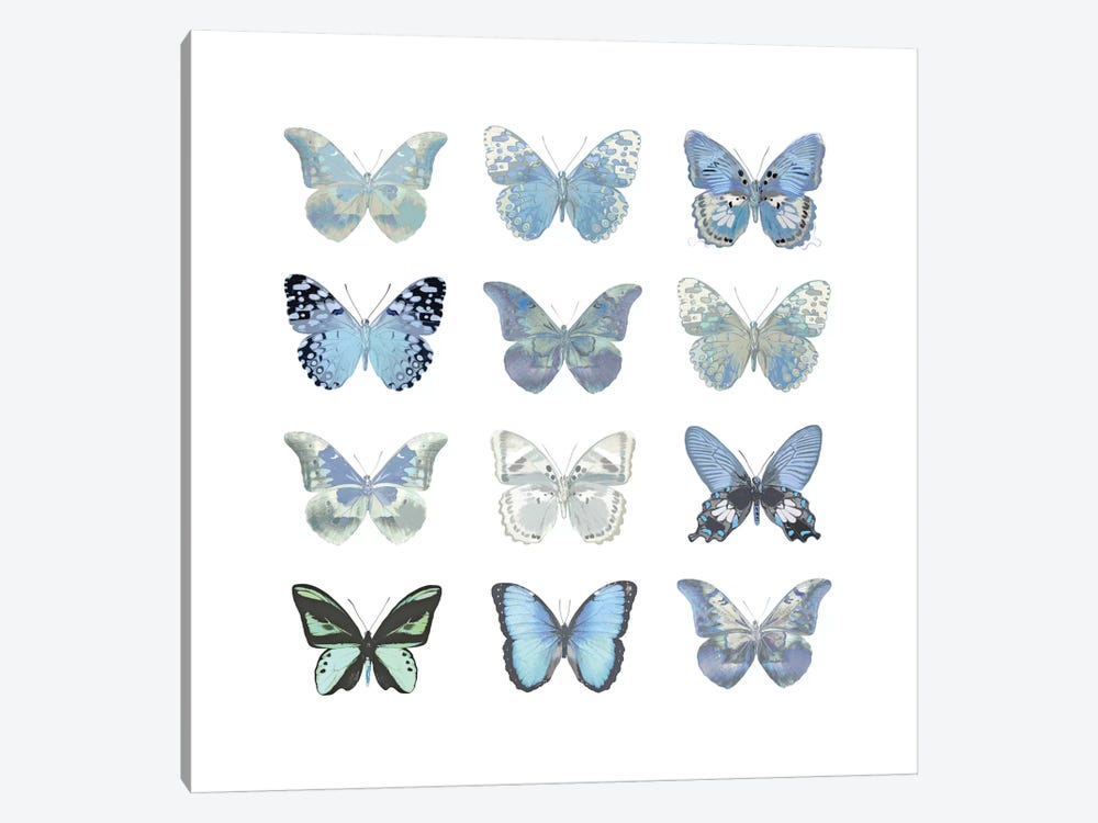 Butterfly Study In Blue I by Julia Bosco 1-piece Canvas Wall Art