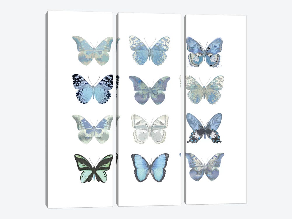 Butterfly Study In Blue I by Julia Bosco 3-piece Canvas Art
