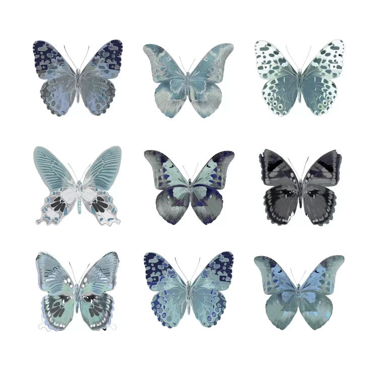 Butterfly Study In Blue II